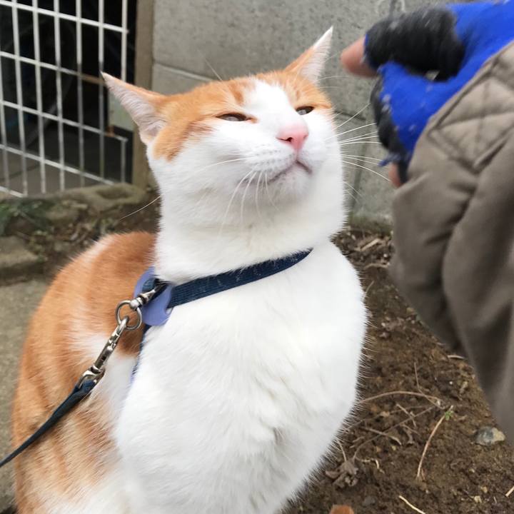 86f14381 fe43 47e4 b993 484e18ec15c8 1516159631184