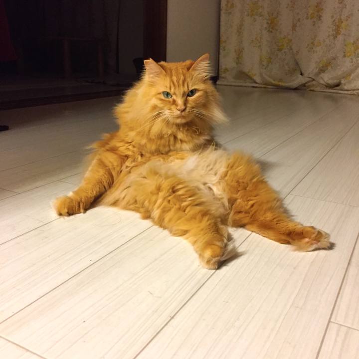 86f16cbf 25c9 46b1 b2e2 3137d2fa4e2b 1526159284420