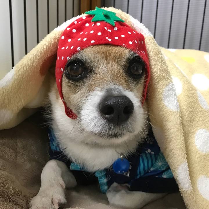 86f1cdfa eeb8 4bea 9f82 29eecb11ceb6 1579089910490