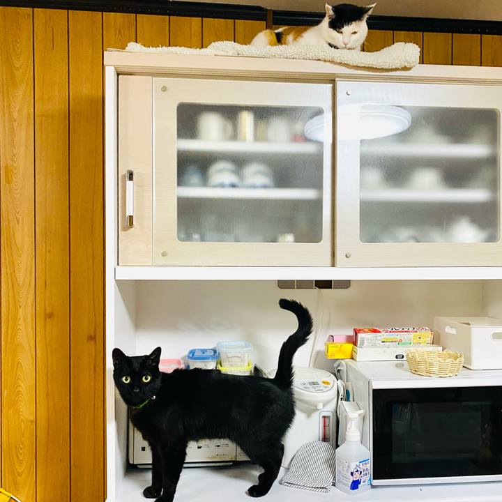 86f1ef37 2915 4ee1 9eeb f8d349392ac2 1678892187444