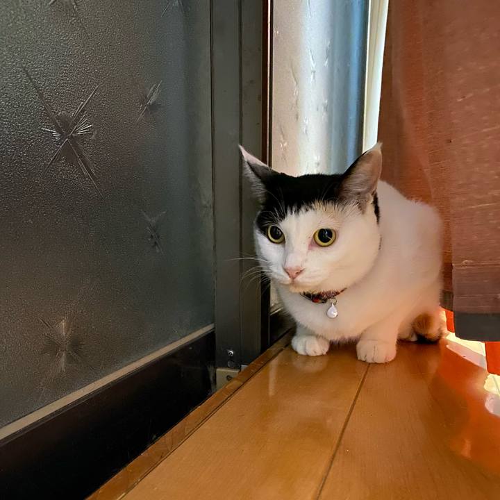 86f21c2c 99cb 4393 add4 e8e31f9d57e1 1661775379789