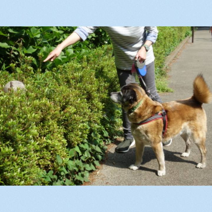 86f2352a 0b75 4413 a5f8 1206b3ab264c 1715475517003