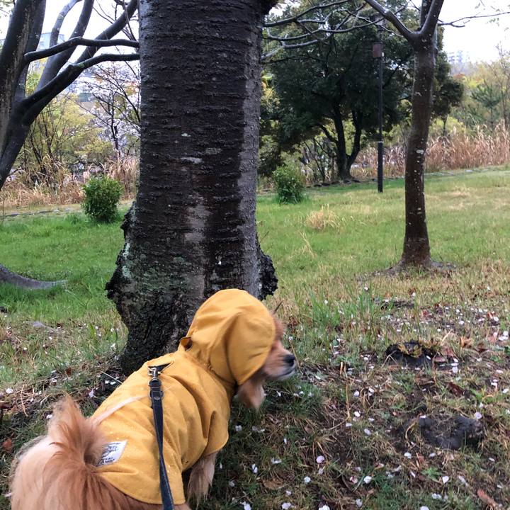 86f279ef 66c2 4a8b b8c9 8a78602dd63c 1554844443191