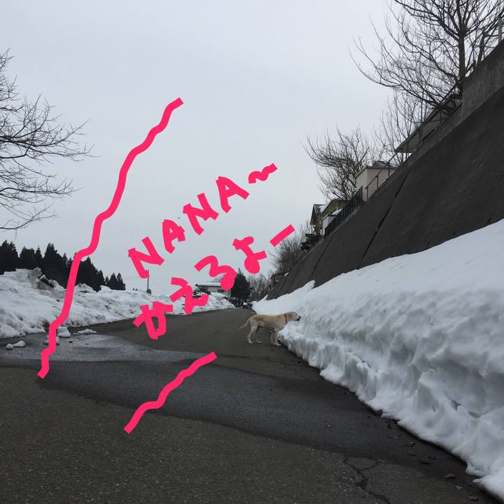 86f27a7c 8d5d 43e7 806d c24ca88e08c6 1519802762153