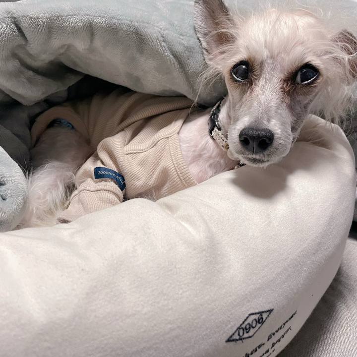 86f27f86 81ed 4999 926b 468360774292 1766799160277