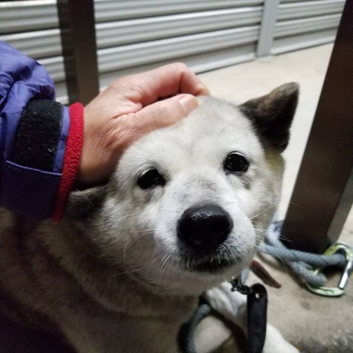 86f2a578 878e 4f06 948a e6441702f107 1700955649528