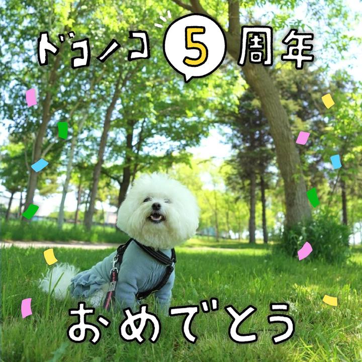 86f2a7e2 f3dd 4eef a653 e353f394ae55 1622900493938