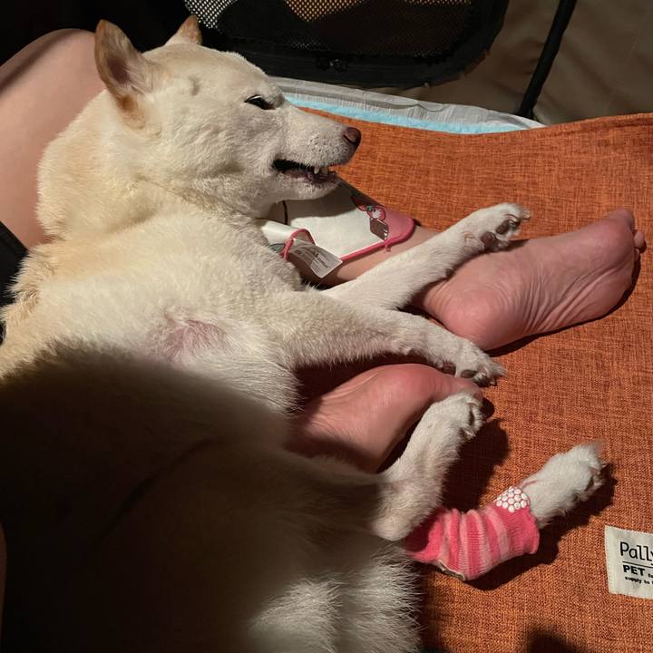 86f2df4f 0e52 428e a22d 6fb481907d96 1664561825076