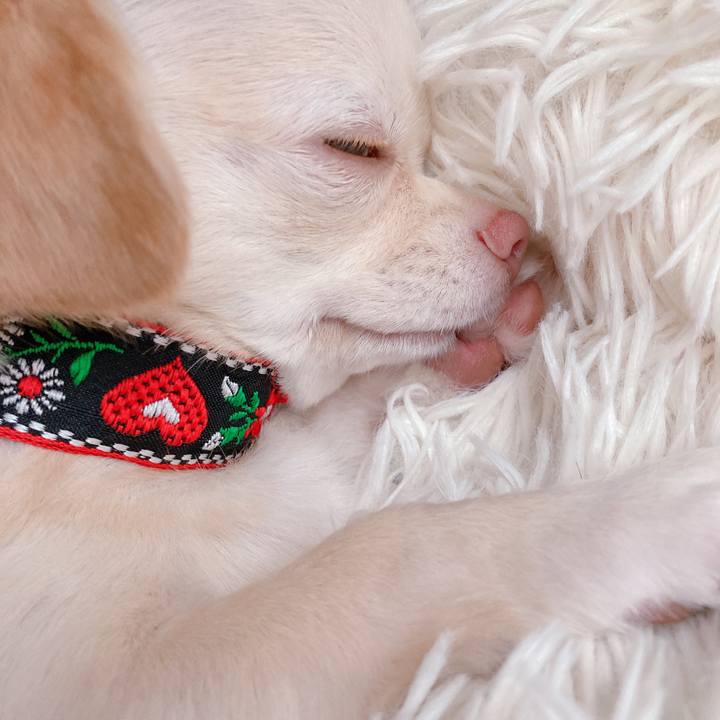 86f2f100 f800 4eaf 88a0 9e4070ace3bc 1629957598219