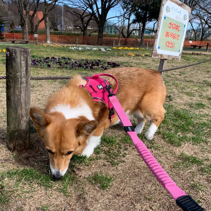 86f2f160 48ed 4274 8c0c 2fb1aa116773 1676361428435