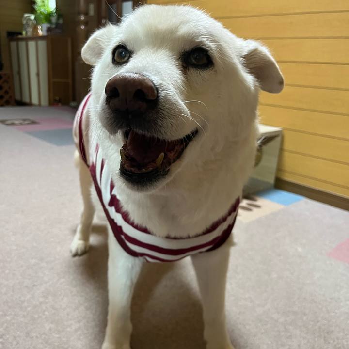 86f2f5a2 716e 4824 a1eb 830fc603b91a 1761955858216