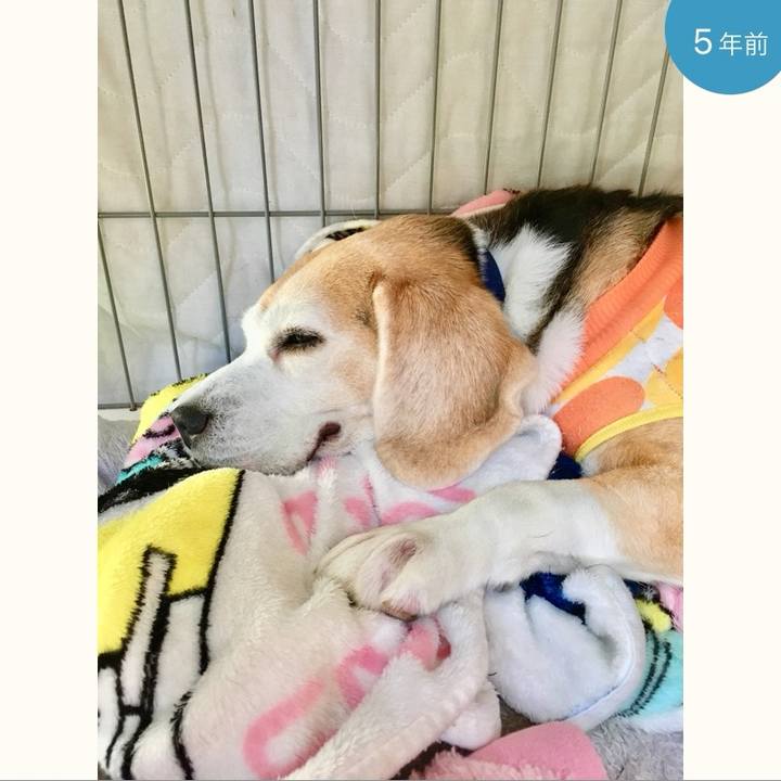 86f2f8ce 4ebf 4a7f 9651 cac80c43d8a3 1704327486566