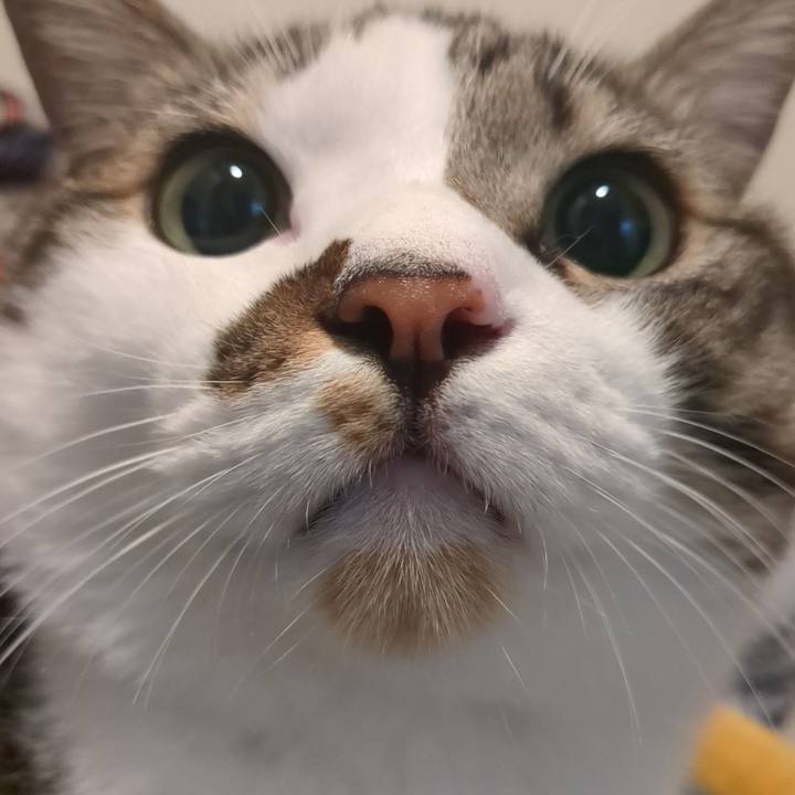 86f3001d ac4d 4916 9286 d890f95affbb 1759586770941