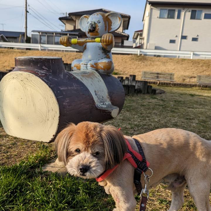 86f3073d 5579 4f0c 8ae5 1cf7580c9f53 1710383963297