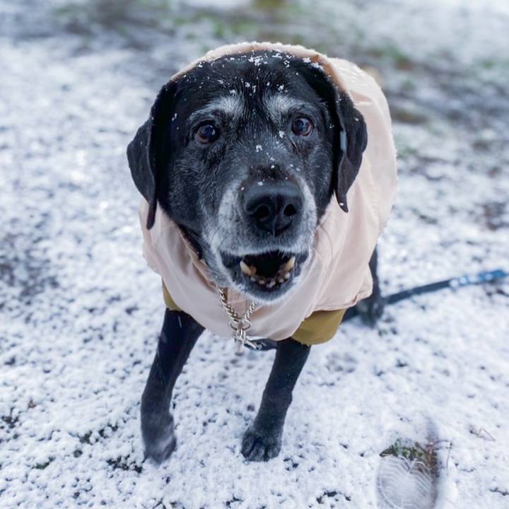 86f314d6 efc5 432d 8865 abdb51247209 1770509165072