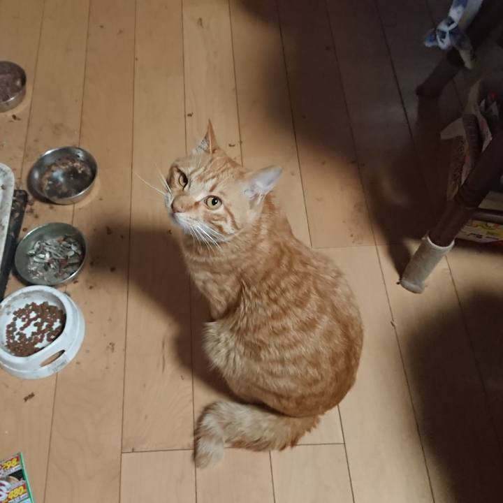 86f32348 27b6 4d31 865c bf50c8c25547 1649920849130