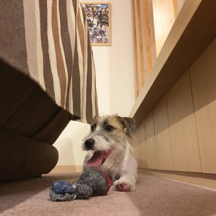 86f330cc 5c19 4a0e b6ce 69846151cc53 1566989146747