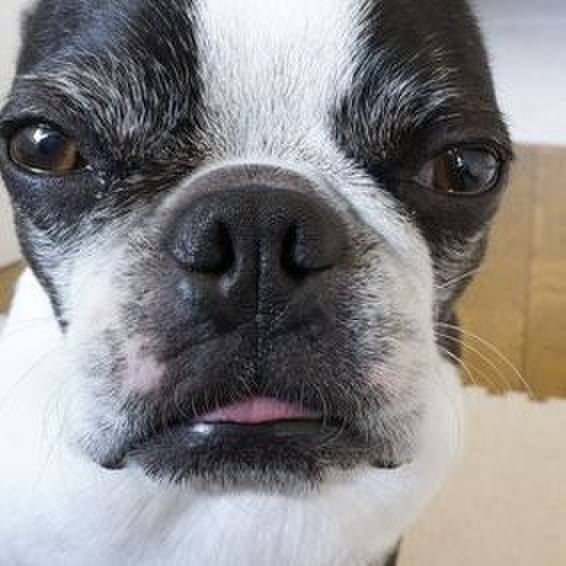 86f3639c 4d3d 49c7 84a3 49a272df542f 1523593291800