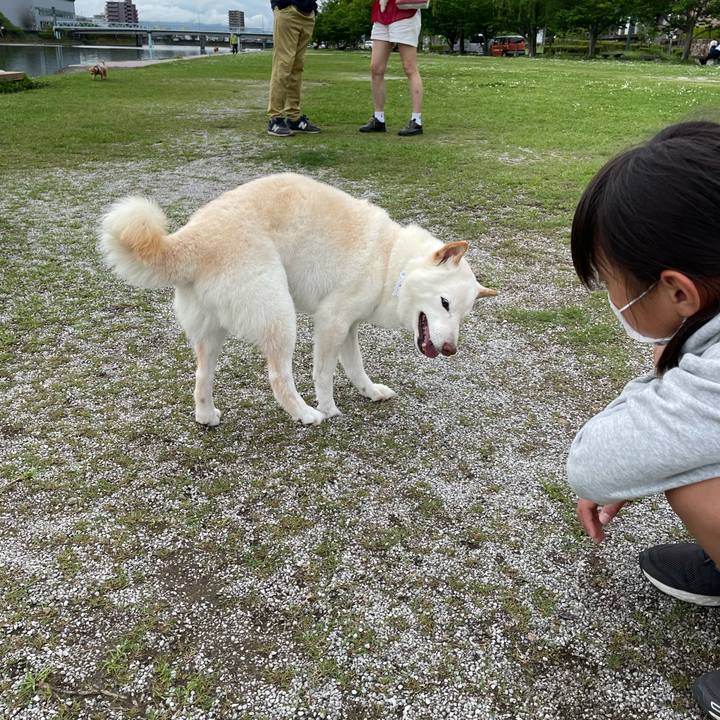 86f3b250 88af 4add a705 fa902a760c9f 1651069280644