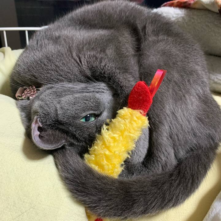 86f3b588 882f 492e be1f 93b0b6d5aa36 1582291715020