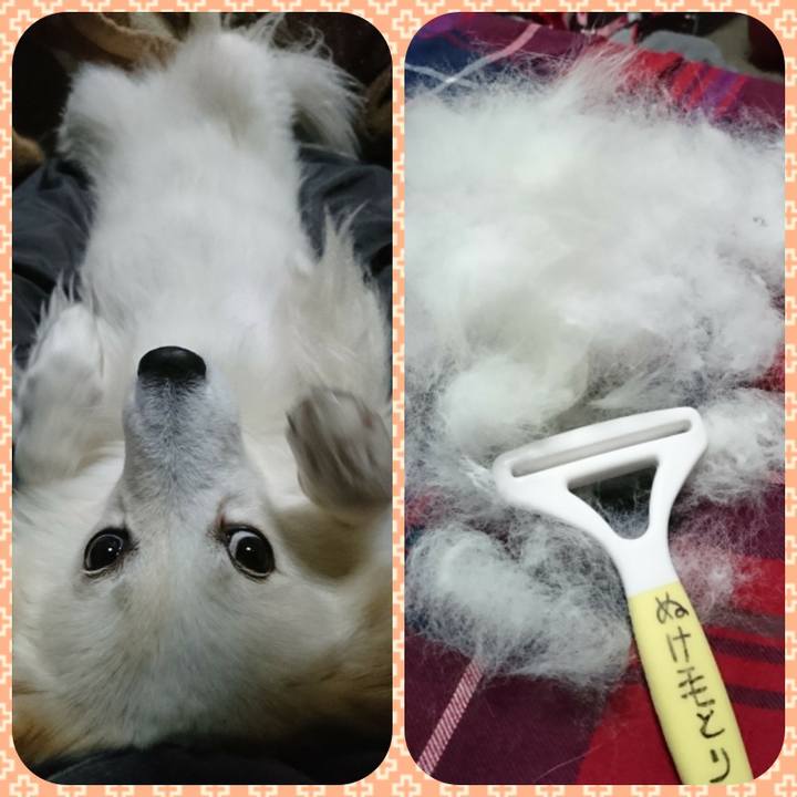 86f3f607 7272 4a56 bcdf 7eaf3cd51b33 1511126639586