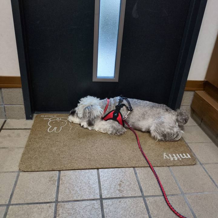 86f417ae 2af1 4f2d bea7 46d620e9fff2 1754546552889