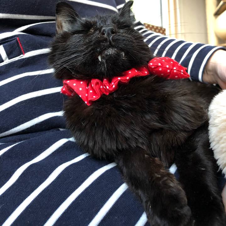 86f43ab8 32d2 4a74 a604 67307a0d325d 1558342935569