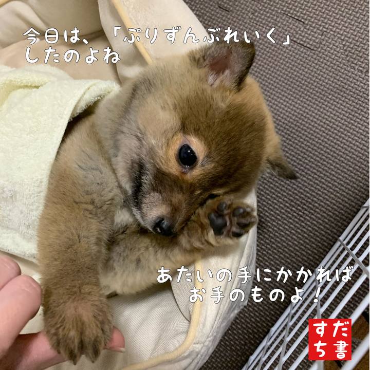 86f44a02 bf6b 49e8 af40 2348b764d82d 1615904207808