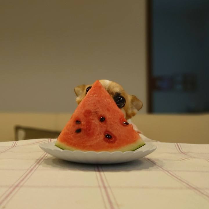 86f460d2 5fcc 44c9 bf6f 3510943425b3 1623916930186