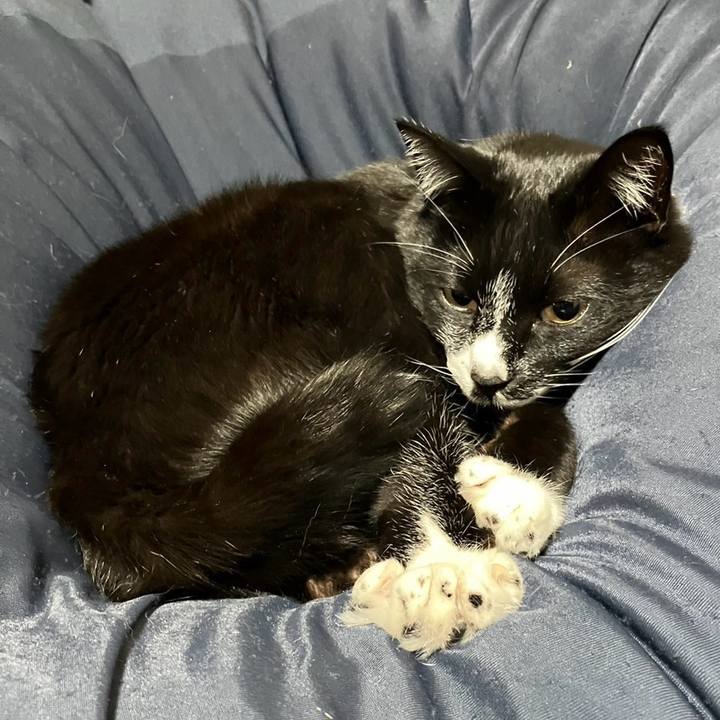 86f47572 fdae 4ba1 94aa 022b28ee92de 1708399021950