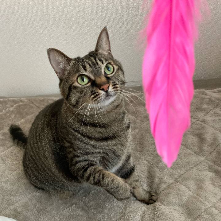 86f478f0 f5f4 400b aa10 daee06eab6ef 1610775031000