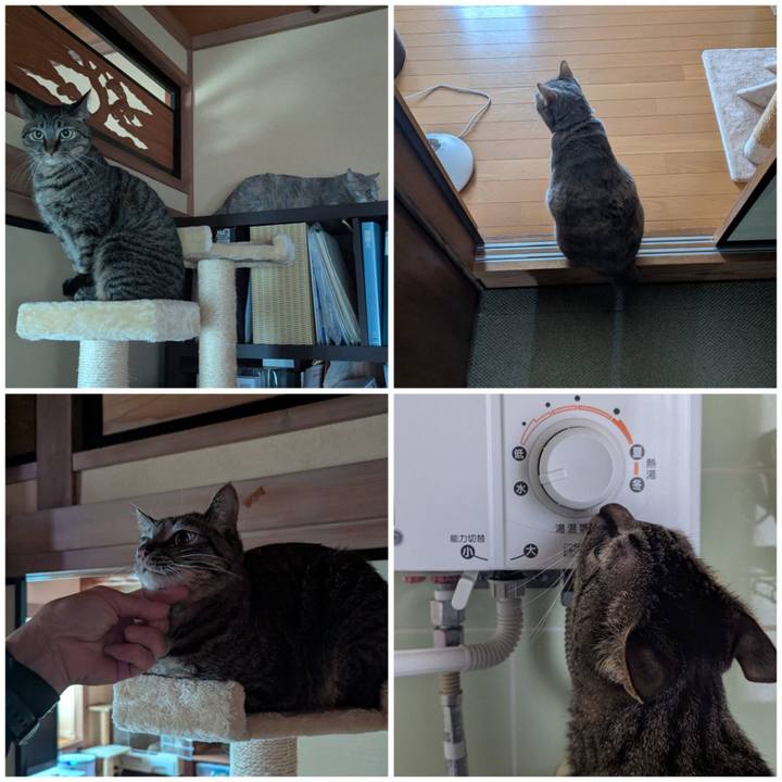 86f49a85 ca20 41f5 ab82 b3f881d3f8f6 1749969488720