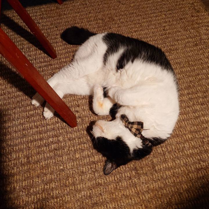 86f4eba3 f507 4b8e 9c0a a607c2706a2f 1758978406002