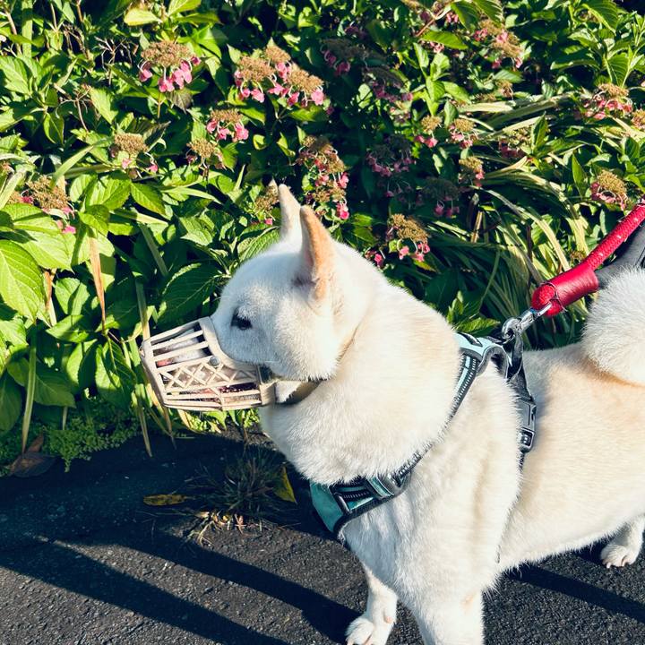 86f4f18e 1867 49a9 ae31 cc8ae6e7d5cc 1696802485110