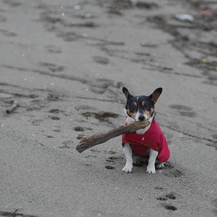 86f507ad 0060 4525 b9ab d0960132e16e 1612220972965