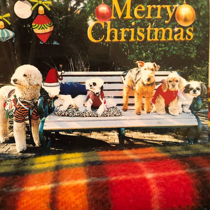 86f5145c beb0 4129 883b c847a3ddb2b3 1514093963294