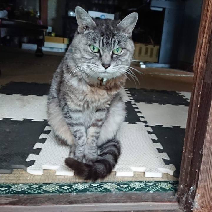 86f54f70 1d02 4171 a58a 6702858fa36c 1601236969190