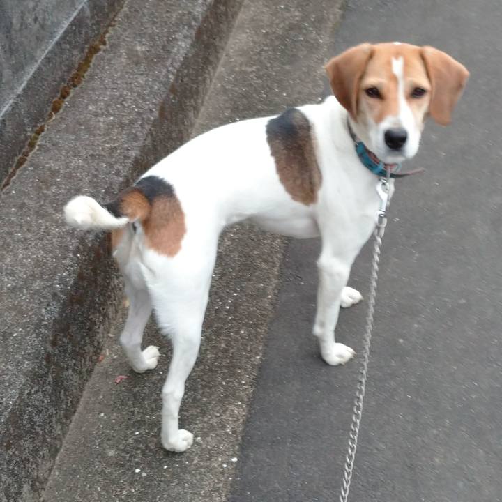 86f56783 59b0 49d4 8ab9 ec27c2252843 1606979739391