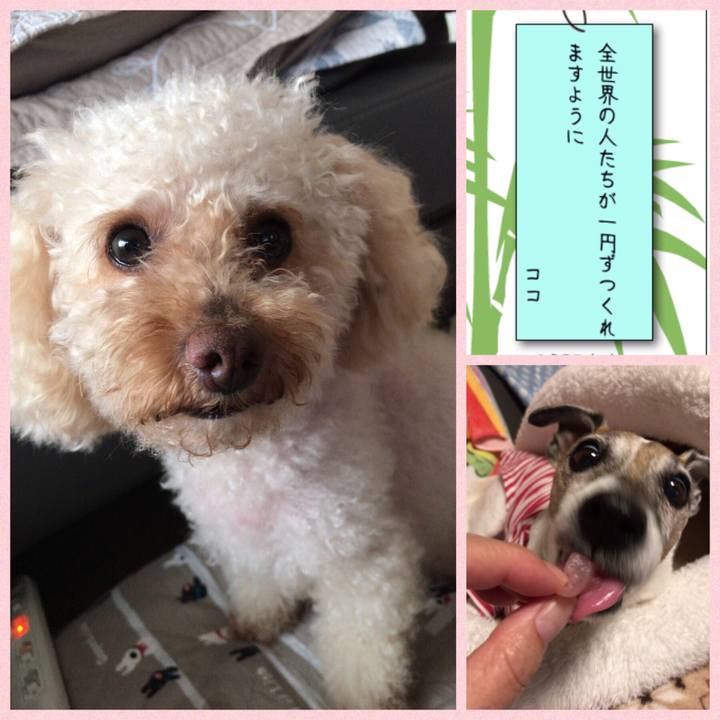 86f57345 5f3b 494f 86a0 5af252d6bccf 1530965823934