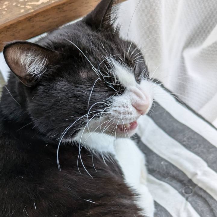 86f579a2 ef6f 49bd aa38 2d79caf31a9a 1729843002750