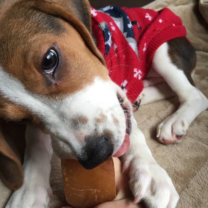 86f57a52 8bb3 473d b6e6 60416c39942b 1515415093581