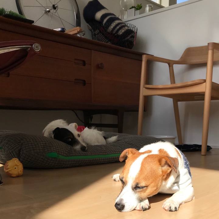 86f57beb 502d 4f9a 8501 2689f3a1a3b0 1512438444929