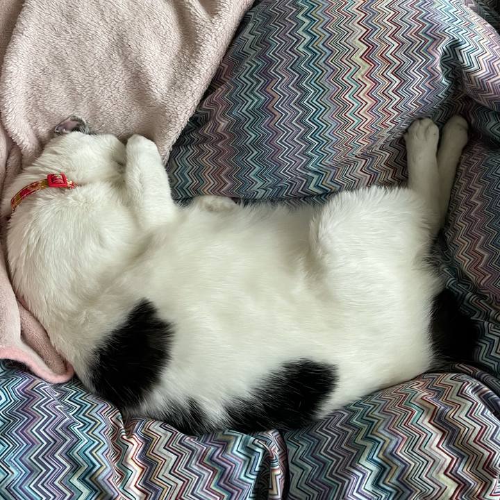 86f58612 9cec 4893 aacd 8cc00e13a0e8 1617841249732