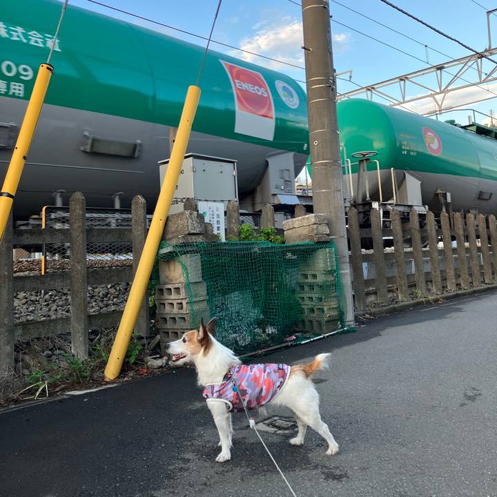 86f5a610 d917 446d b0fa 97d49362be03 1691719979233