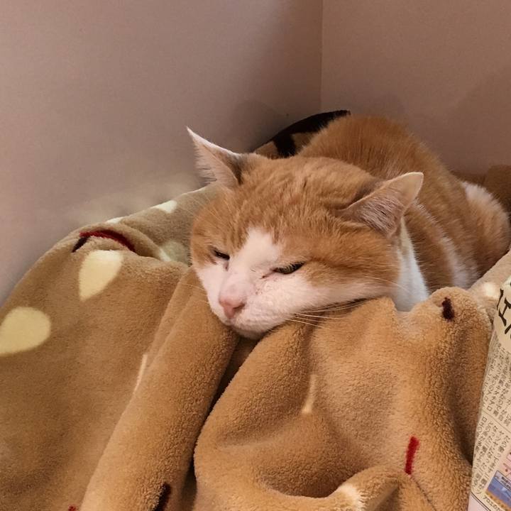 86f5a6d5 e4b1 4055 9c7e 823fc772d83d 1521696253796