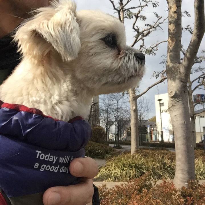 86f5e0e2 b953 4d10 a742 548d52babc6a 1515409447016