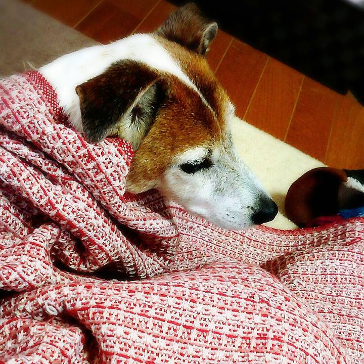 86f61835 976d 4454 be5b 2adfbc9faee9 1513482970141