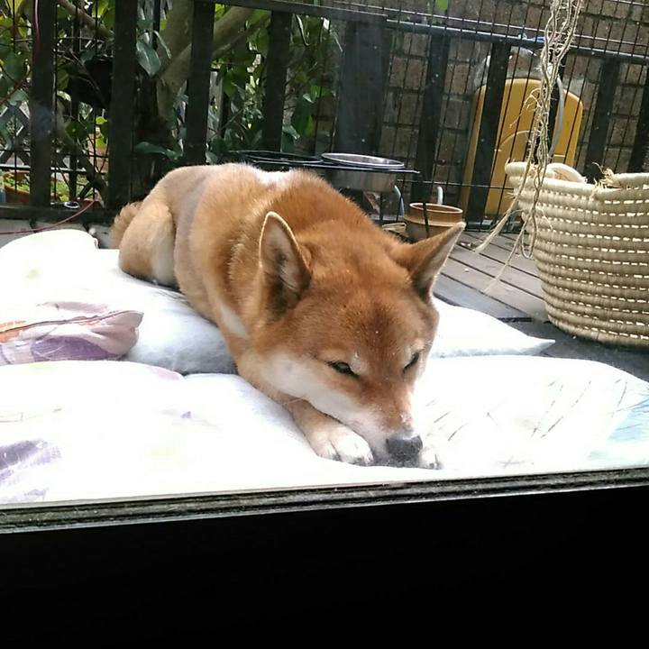 86f6269d a52d 4bce ad59 dda97574e3cd 1551414446736