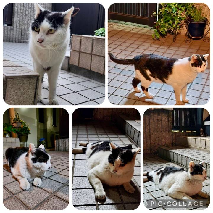 86f63723 1316 44e1 b26d d9fbb89938ec 1776739815877