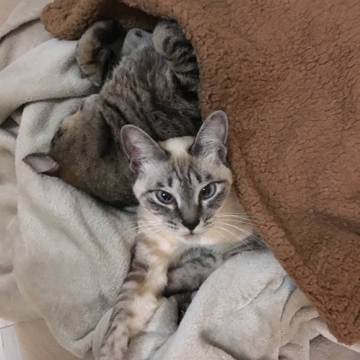 86f64e54 4f42 4de0 9849 41732e684763 1574851430349